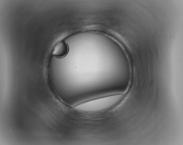 X0000114231405200910091439