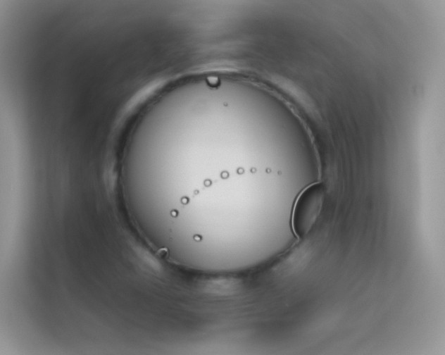 X0000114231406200910091439