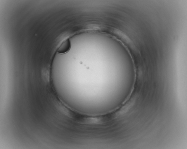 X0000114231409200910091439
