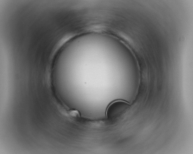 X0000114231410200910091439