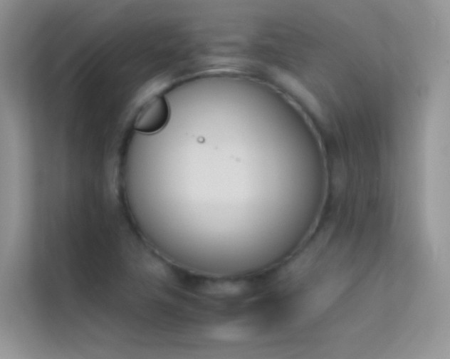 X0000114231411200910091439