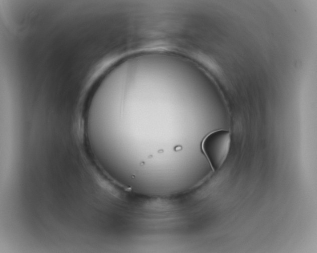 X0000114231414200910091439
