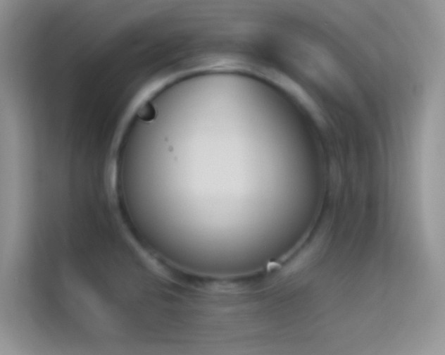 X0000114231424200910091439