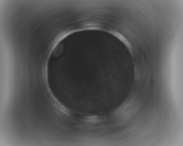 X0000114231431200910091439