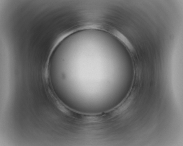 X0000114231436200910091439