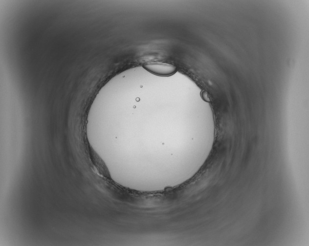 X0000114231441200910091439