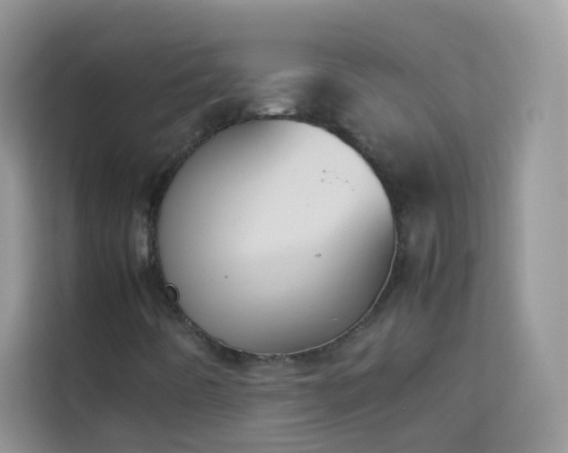 X0000114231442200910091439
