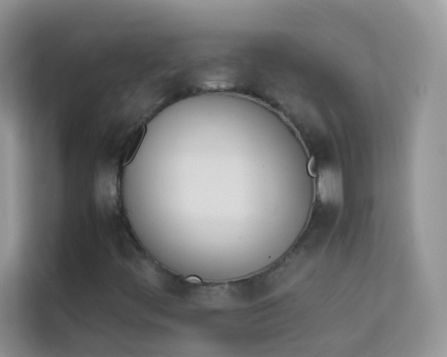 X0000114231444200910091439