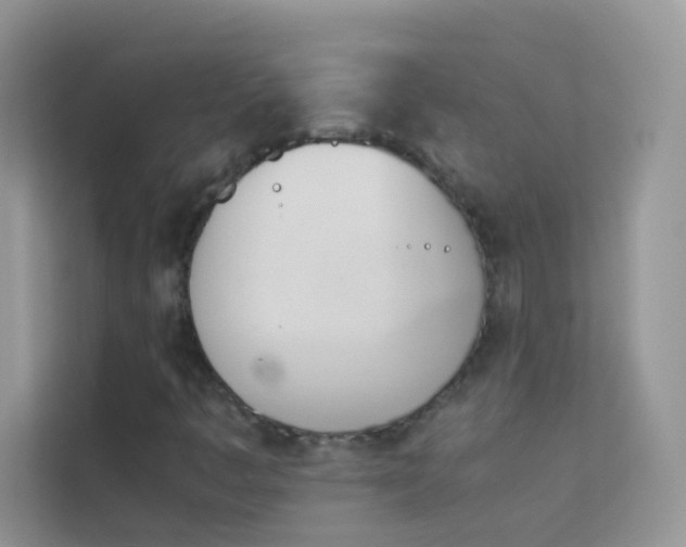X0000114231445200910091439
