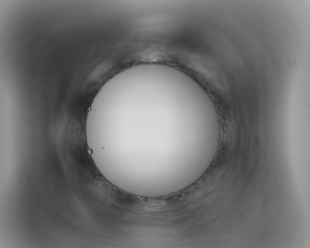 X0000114231446200910091439
