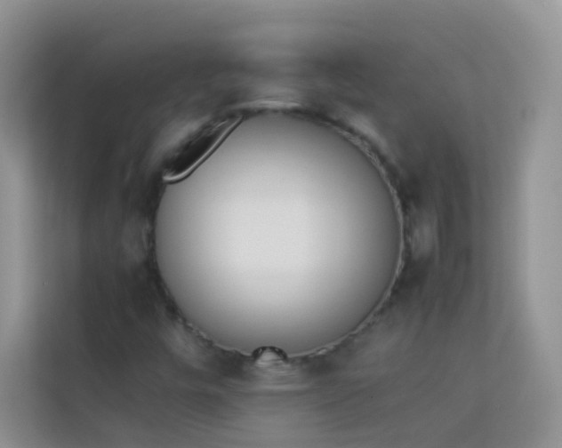 X0000114231448200910091439