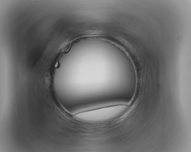 X0000114231449200910091439