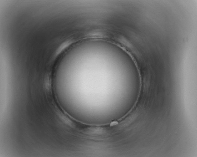 X0000114231450200910091439