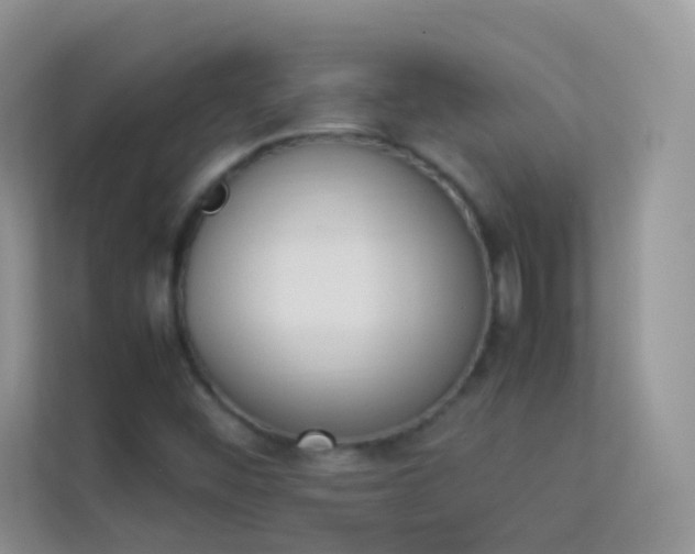 X0000114231452200910091439