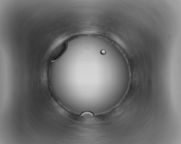 X0000114231456200910091439
