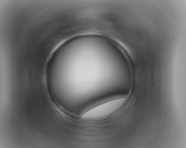 X0000114231460200910091439