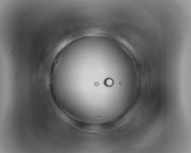 X0000114231463200910091439