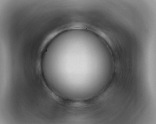 X0000114231464200910091439