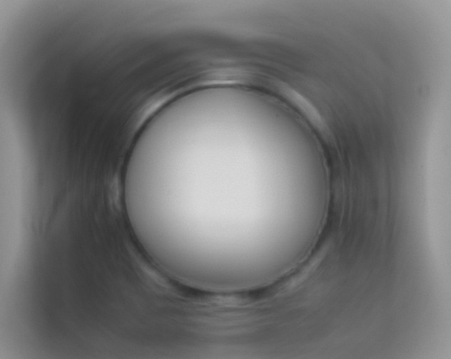X0000114231465200910091439