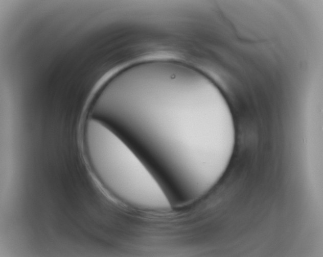 X0000114231468200910091438