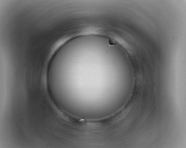 X0000114231469200910091438