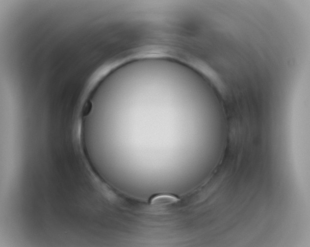 X0000114231472200910091438
