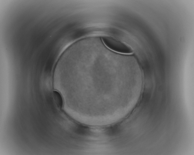 X0000114231473200910091438