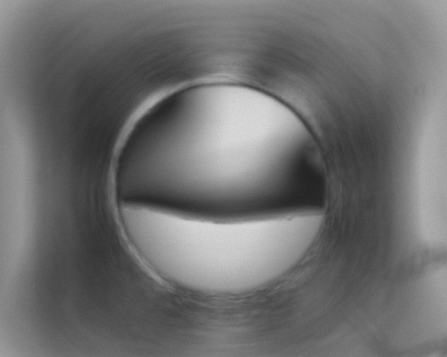 X0000114231480200910091438