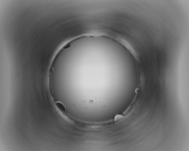 X0000114231484200910091438