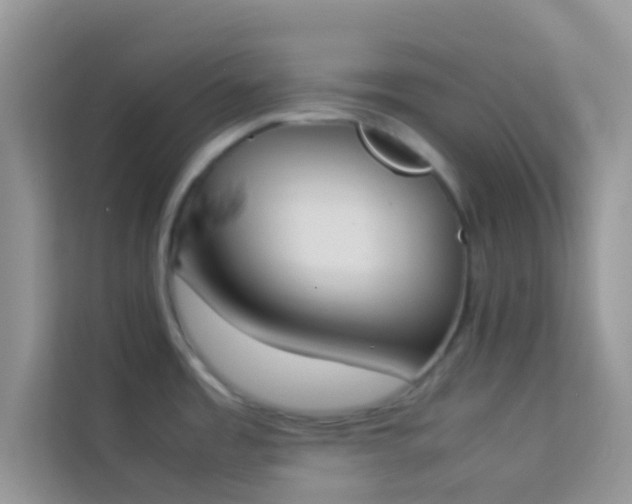 X0000114231485200910091438
