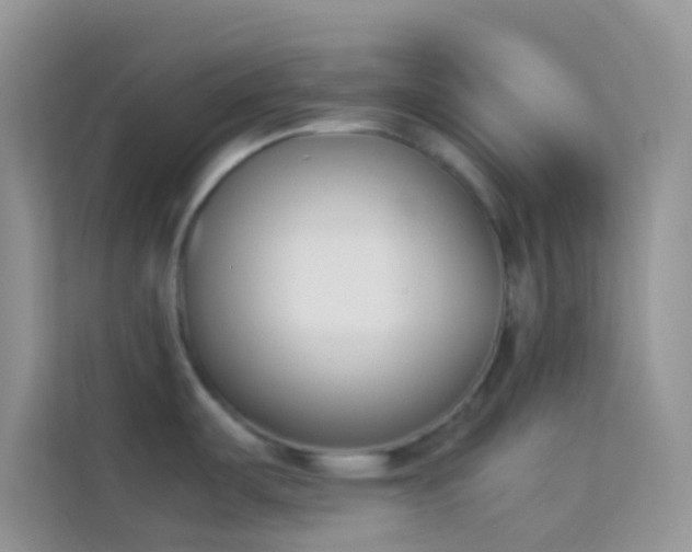 X0000114231487200910091438