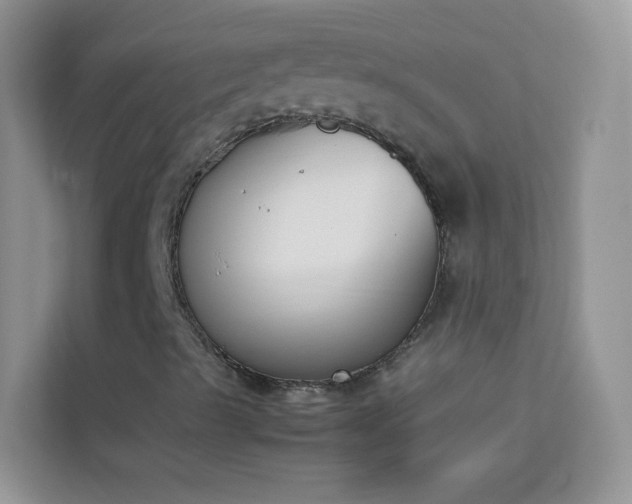 X0000114231489200910091438