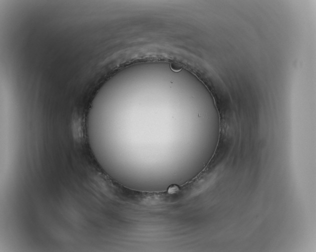X0000114231490200910091438