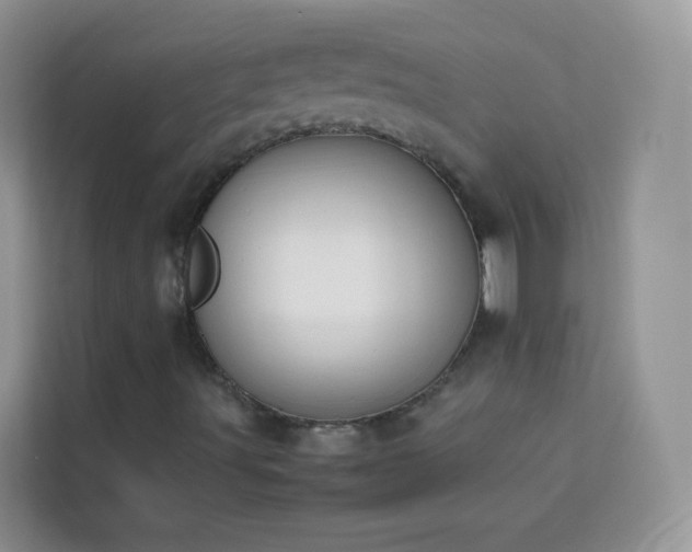 X0000114231491200910091438