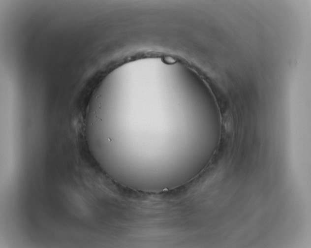 X0000114231495200910091438