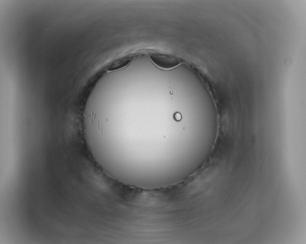 X0000114231496200910091438