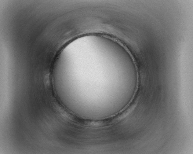 X0000114231497200910091438