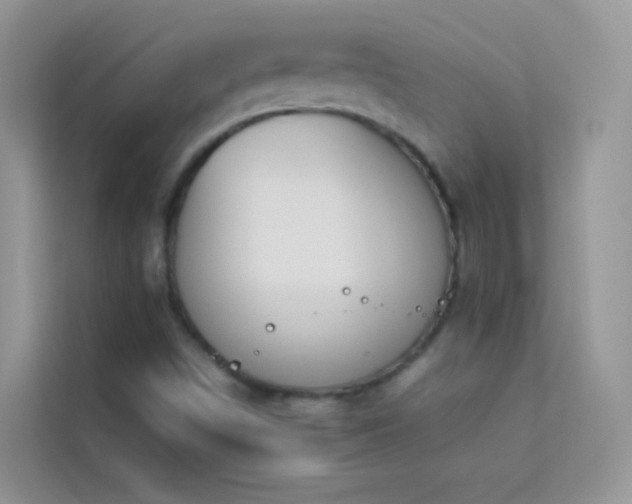 X0000114231498200910091438