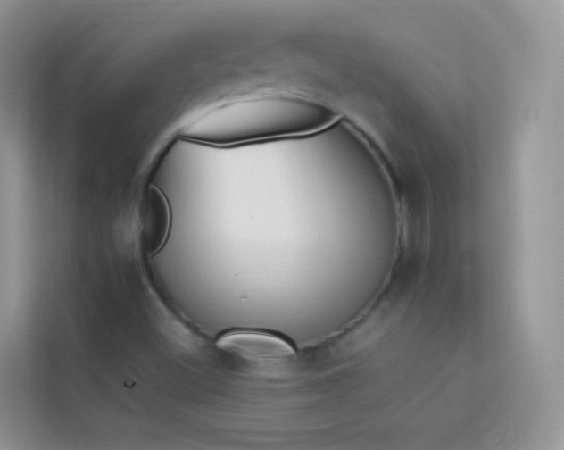 X0000114231500200910091438