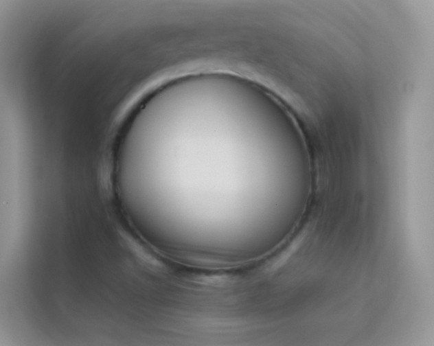 X0000114231502200910091438