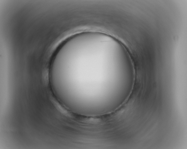 X0000114231503200910091438
