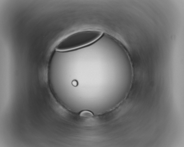 X0000114231504200910091438