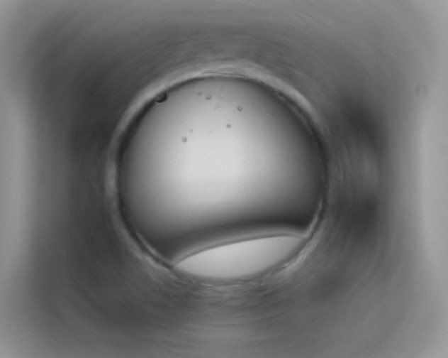 X0000114231506200910091438