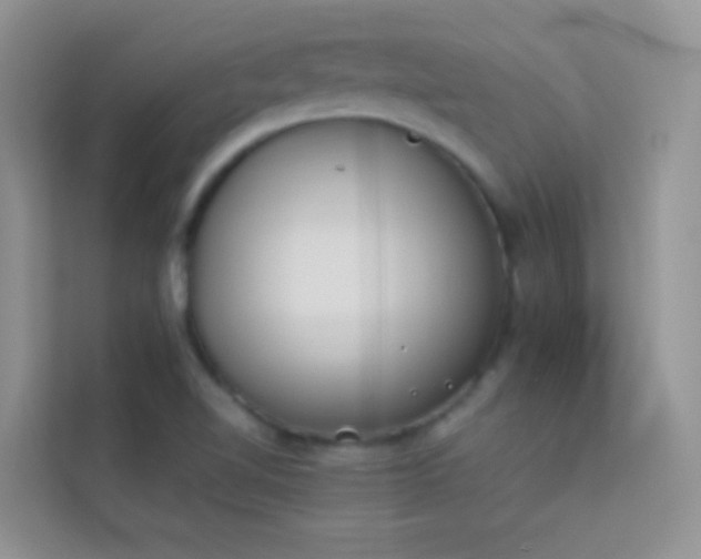 X0000114231510200910091438
