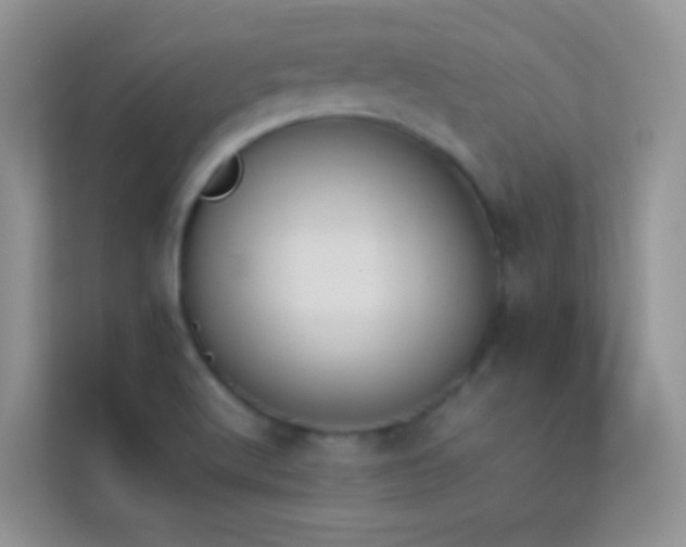 X0000114231512200910091438