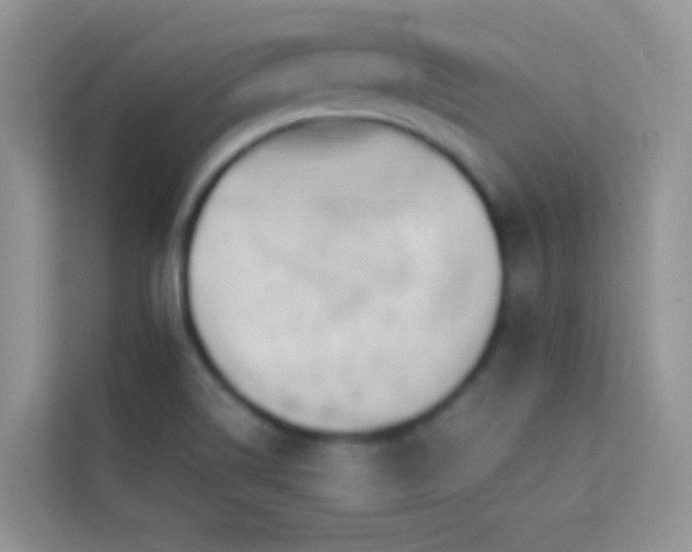 X0000114231514200910091438