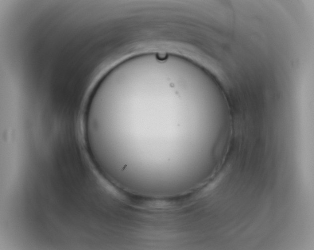 X0000114231517200910091438