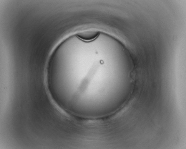 X0000114231518200910091438