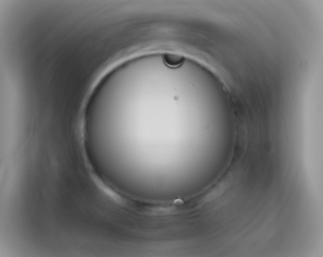X0000114231519200910091438