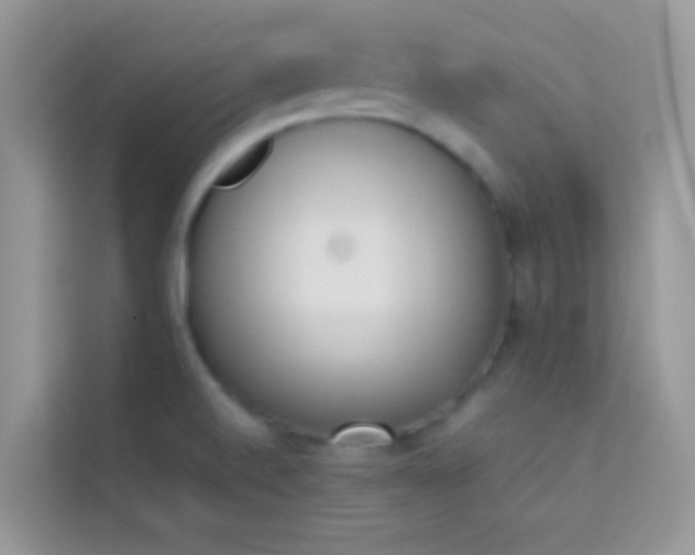 X0000114231520200910091438